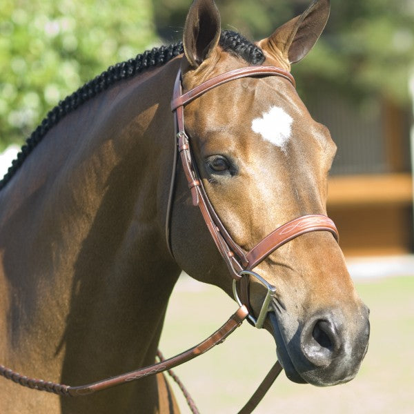 English Bridles