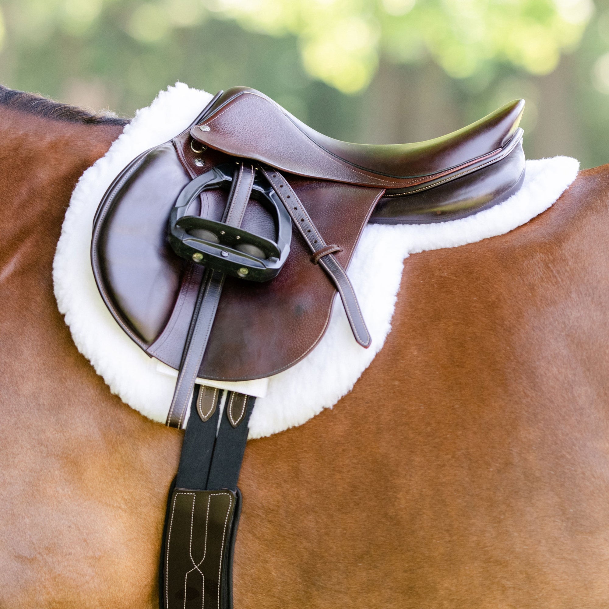 EquiFit Essential Hunter Pad-Saddle Pads-Equifit-14-14.5"-Manhattan Saddlery