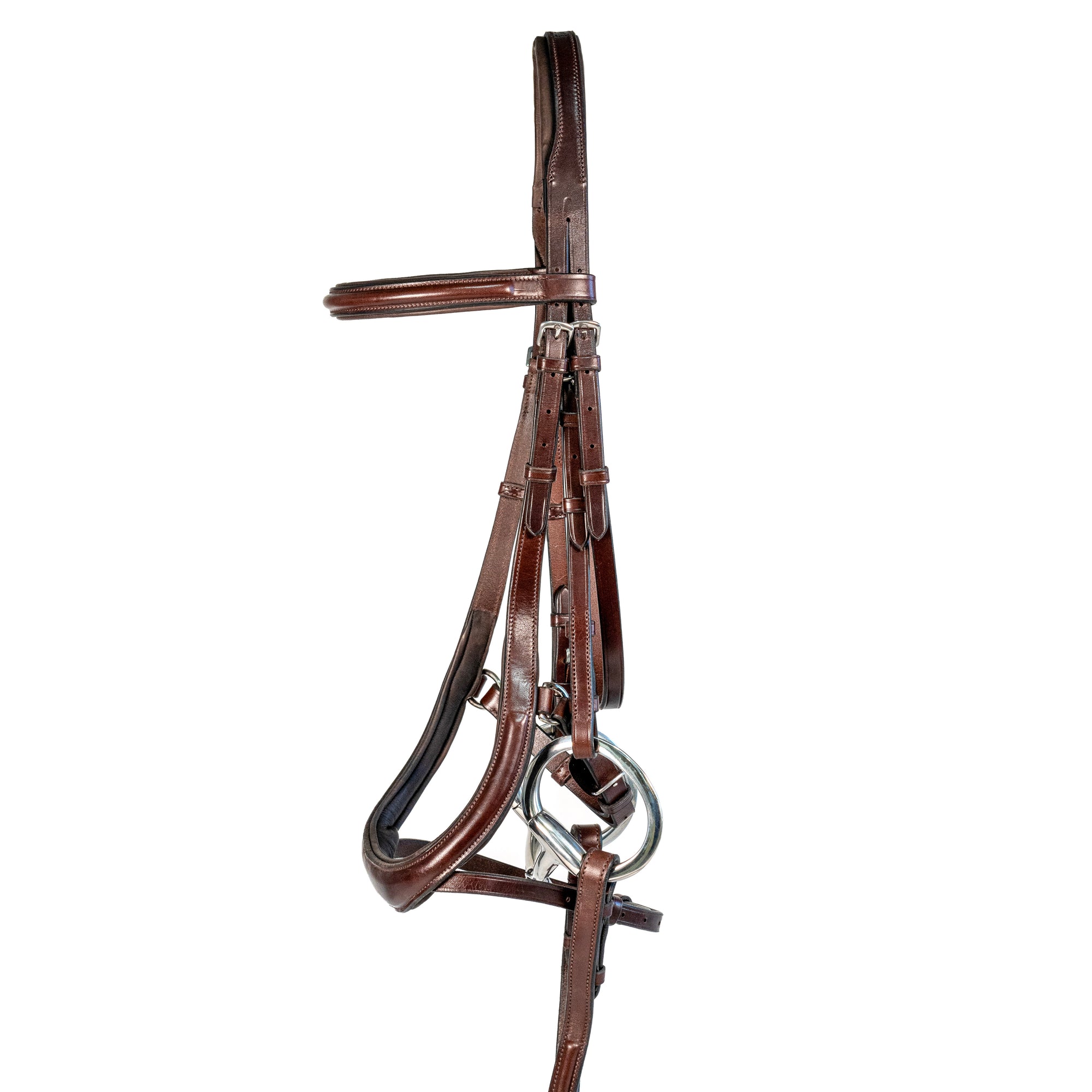 Nunn Finer Aformadi Flash Bridle-Bridles - Bridle Parts-Nunn Finer-Black-Cob-Manhattan Saddlery