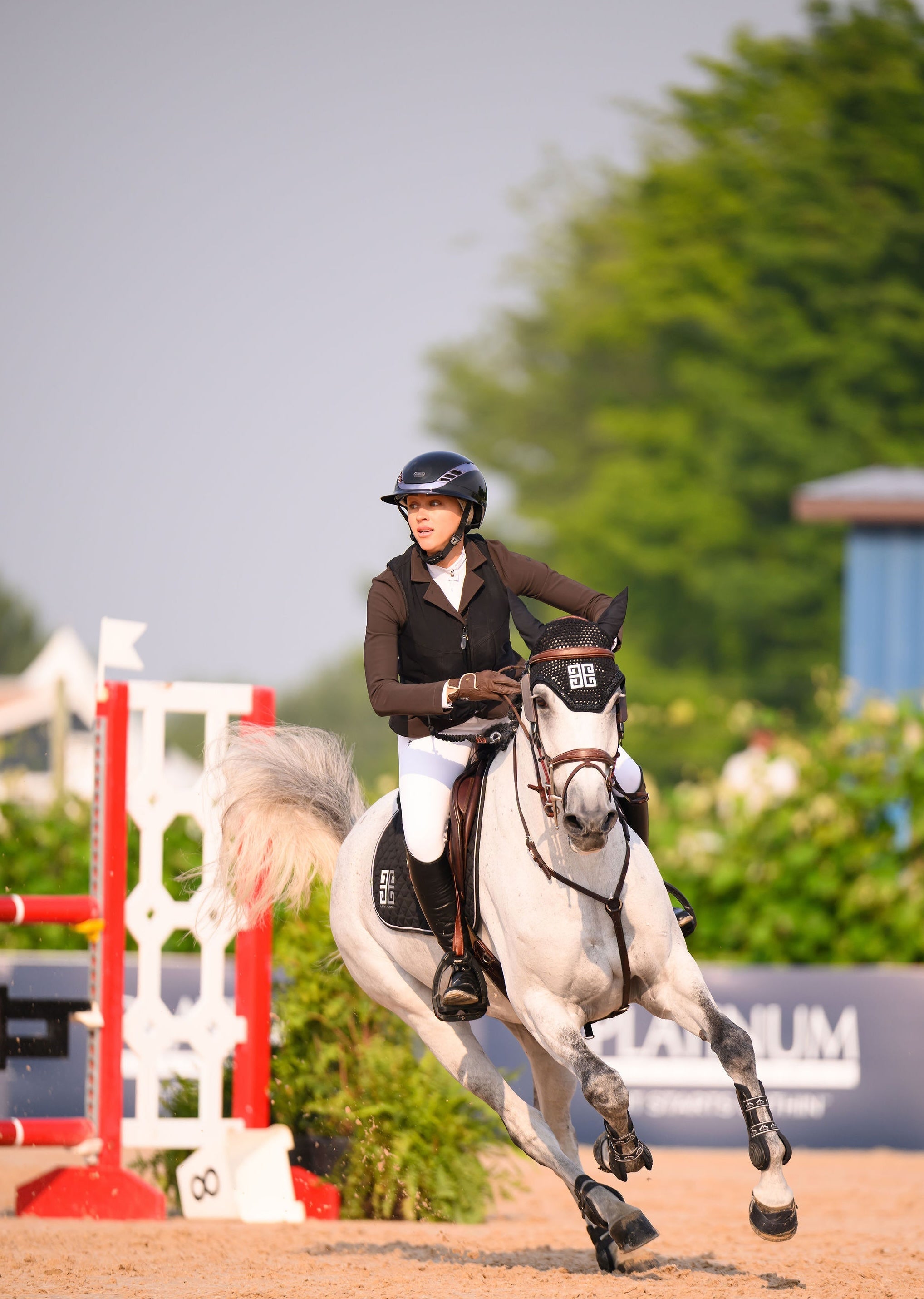 Euphoric Equestrian Kloud Competition Top-Show Shirts - Ladies Show Shirt-Euphoric Equestrian-XS-Black-Manhattan Saddlery