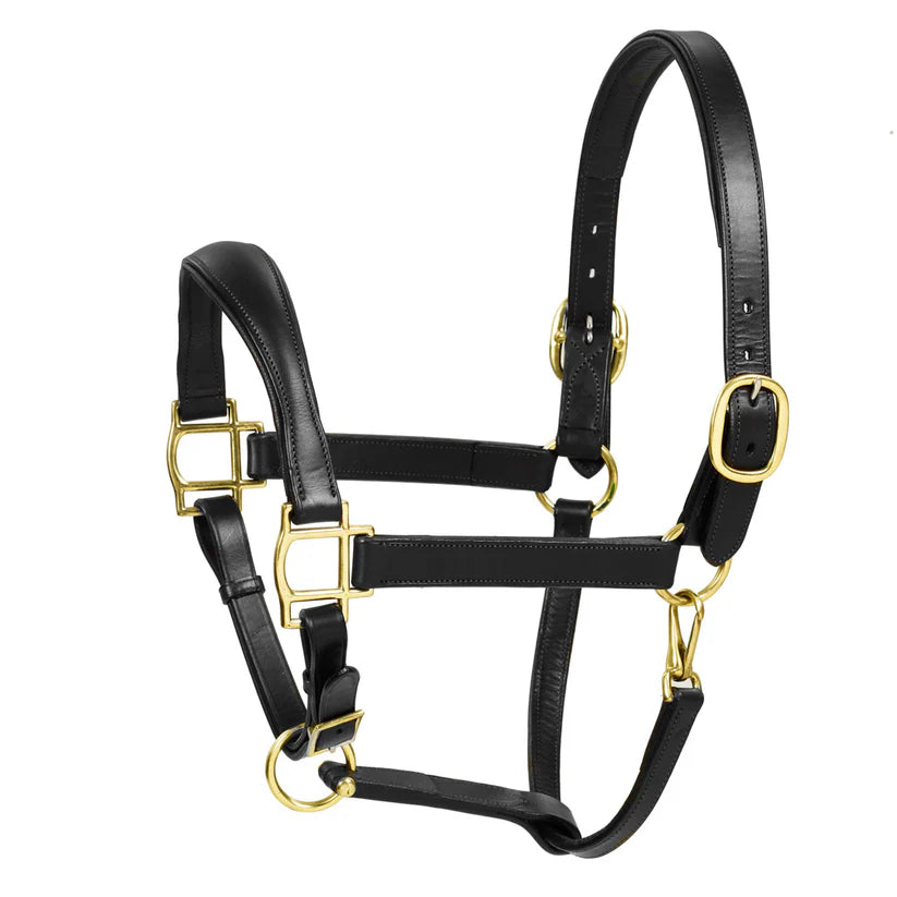 Aramas Raised ZERO Shape Padded Halter-Unclassified-ERS-Black/Gold-Oversized-Manhattan Saddlery