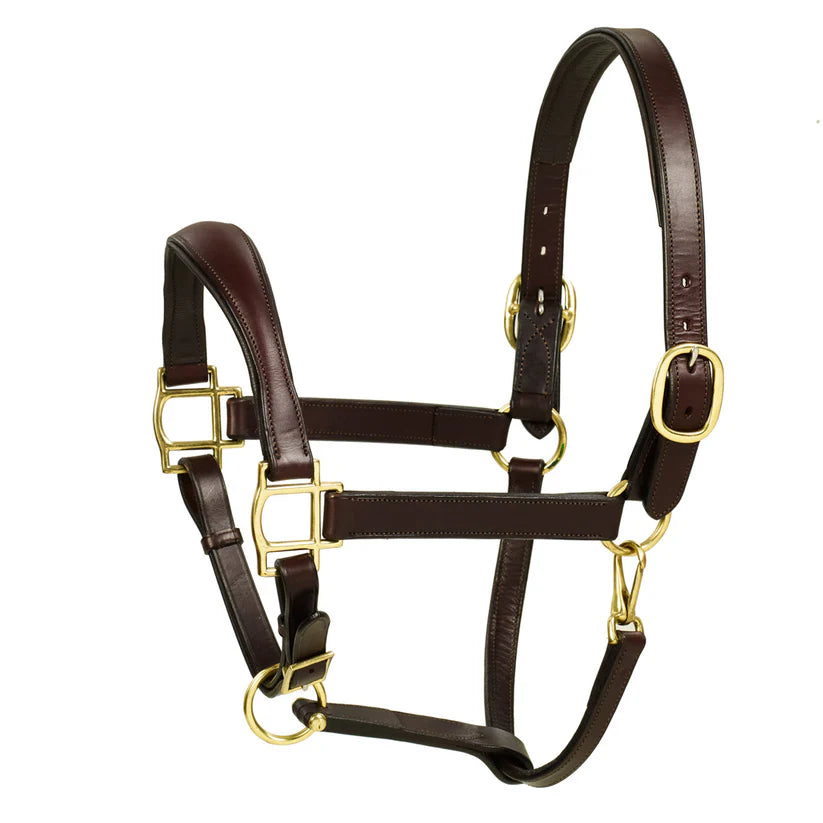 Aramas Raised ZERO Shape Padded Halter-Unclassified-ERS-Chocolate-Oversized-Manhattan Saddlery