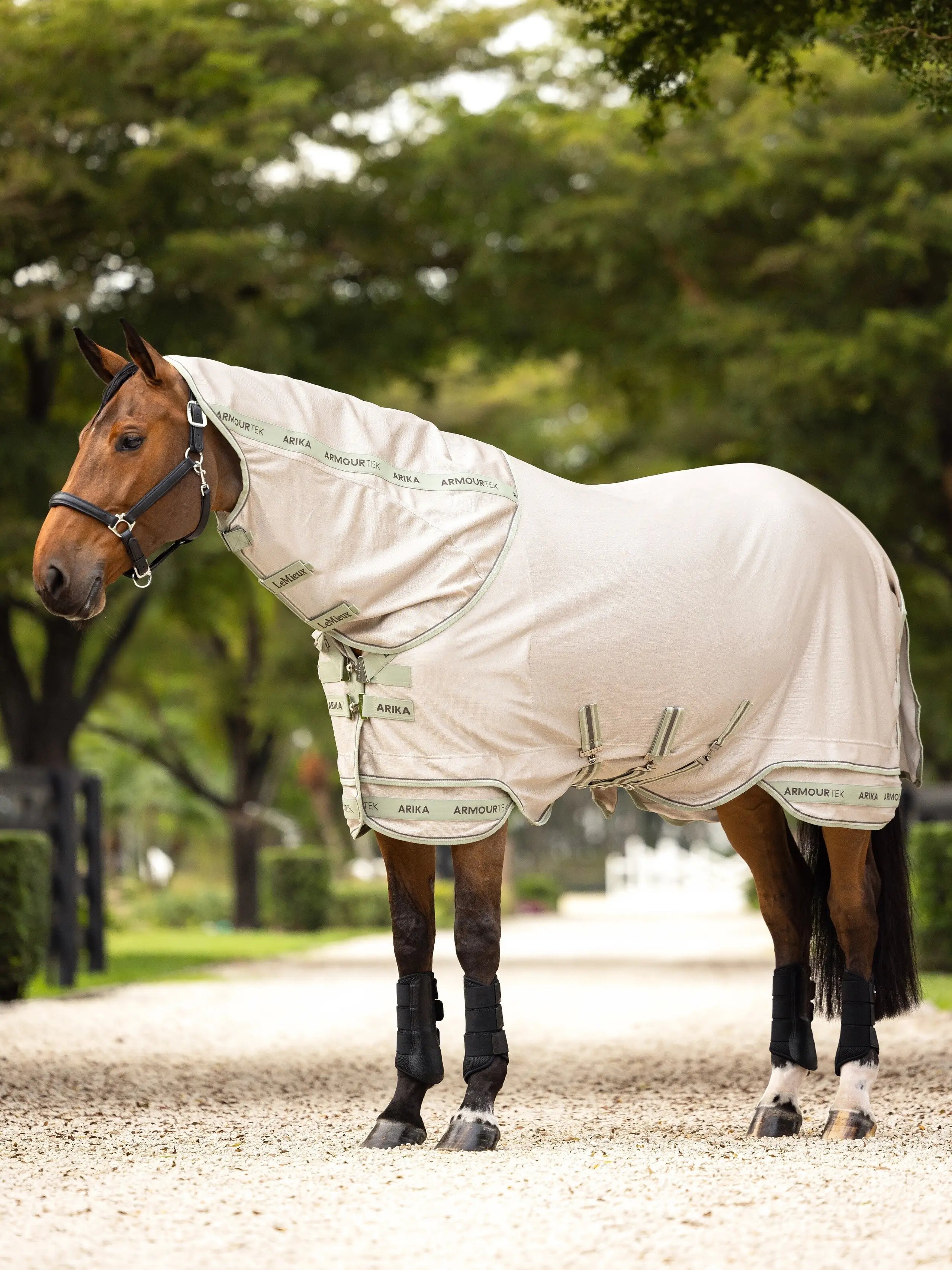 LeMieux Arika Armour-Tek Fly Blanket-Horsewear -Blankets - Fly Sheets-LeMieux-Stone-57"-Manhattan Saddlery