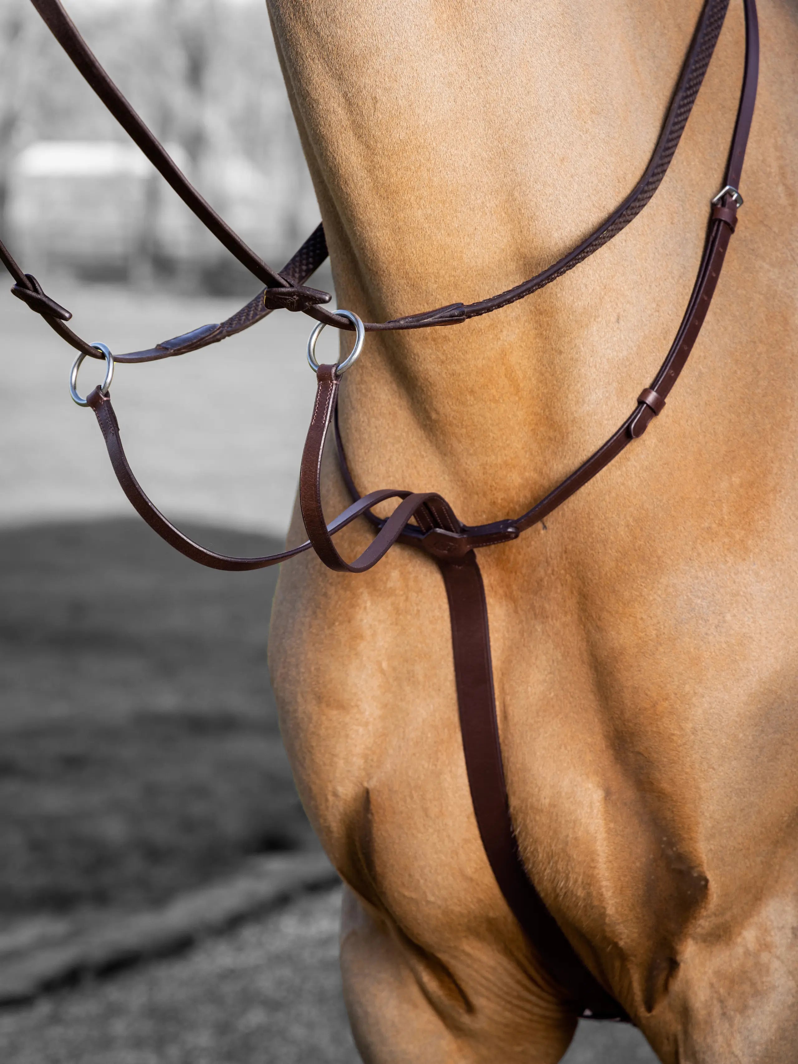 Arika Running Martingale-Unclassified-LeMieux-Black-Pony-Manhattan Saddlery