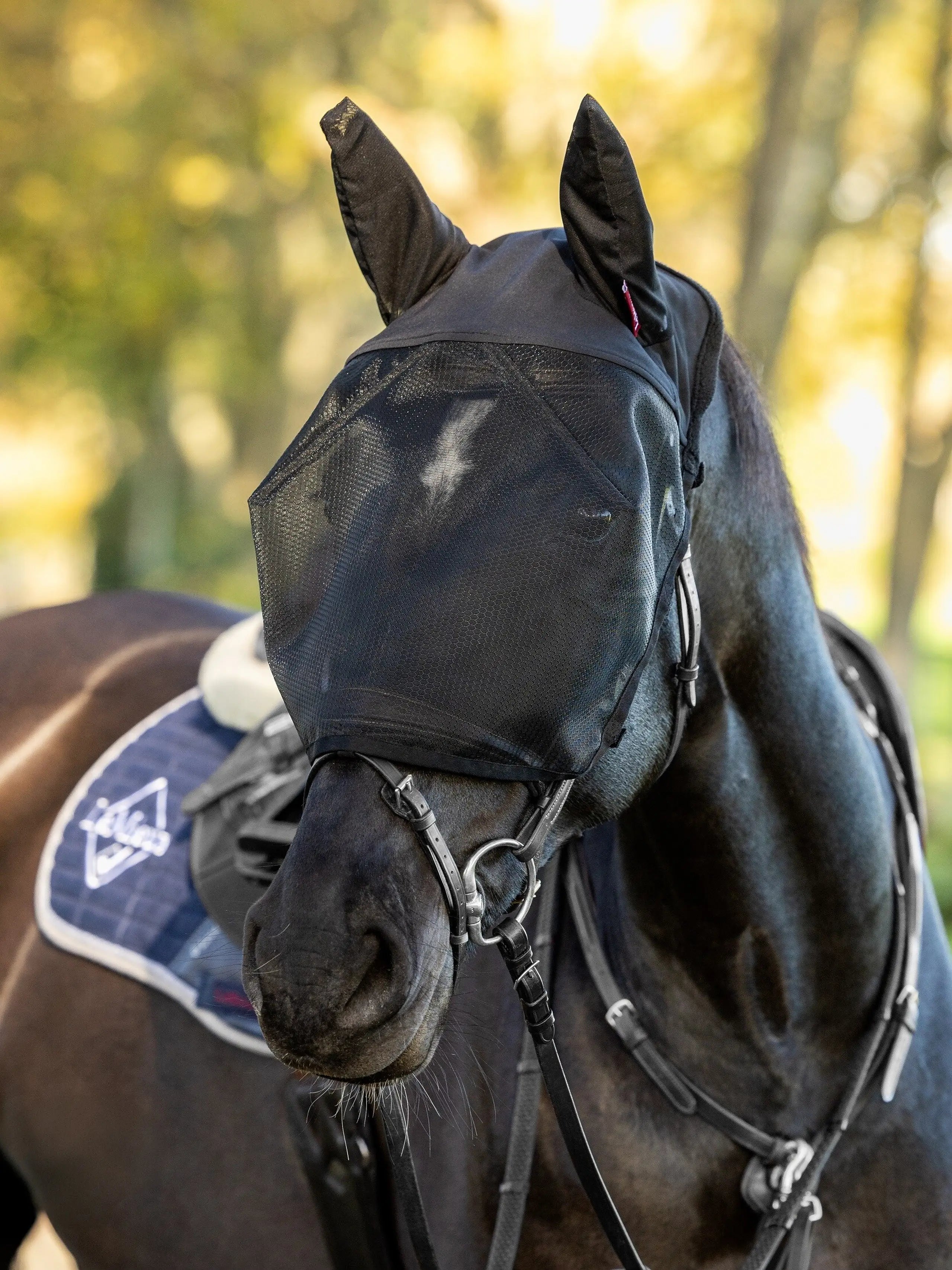 LeMieux Ride On Fly Mask-Horsewear - Misc - Fly Masks-LeMieux-Small-Manhattan Saddlery