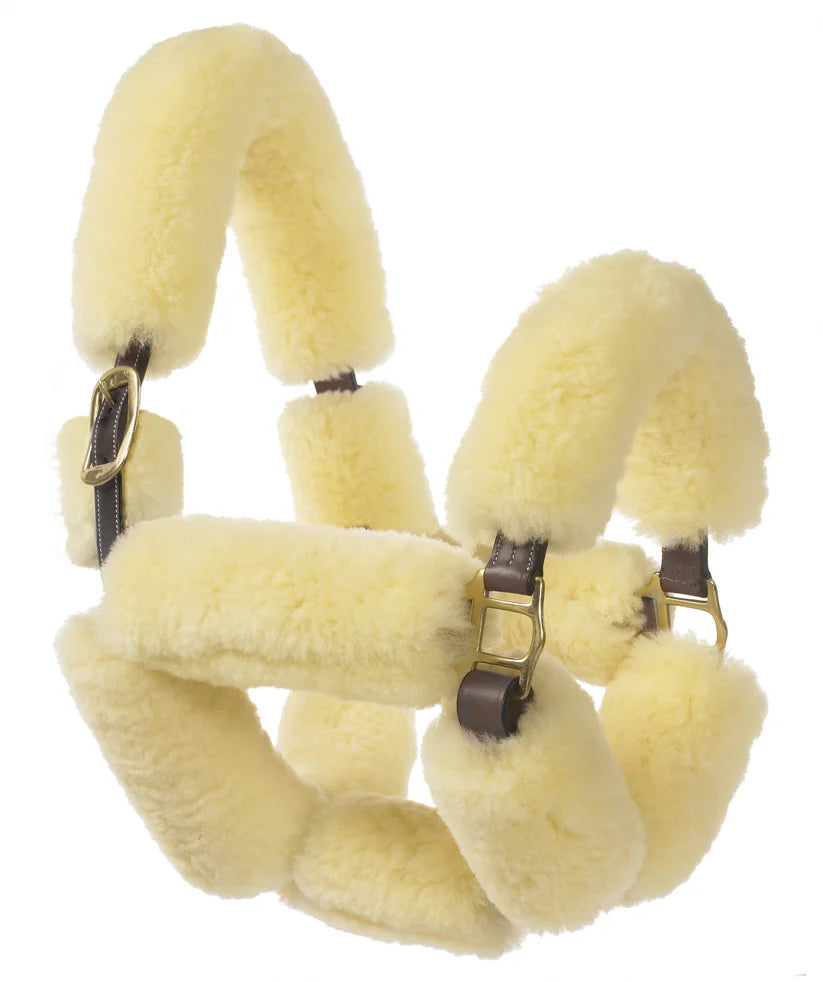 Ovation Sheepskin Covered Halter-Unclassified-ERS-Cob-Manhattan Saddlery