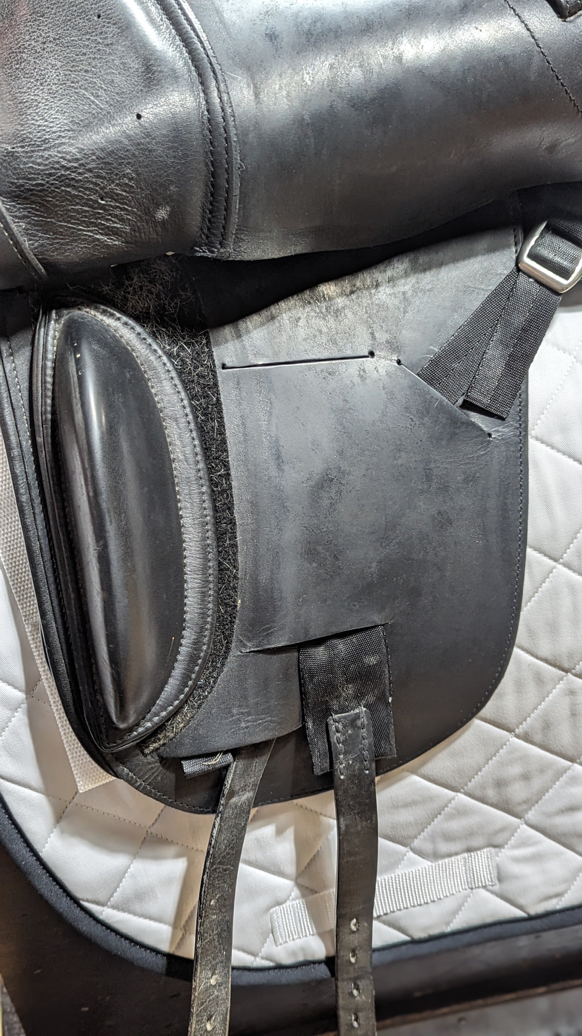 Schleese Obrigado Dressage Saddle 18"-Saddles-Manhattan Saddlery-Manhattan Saddlery