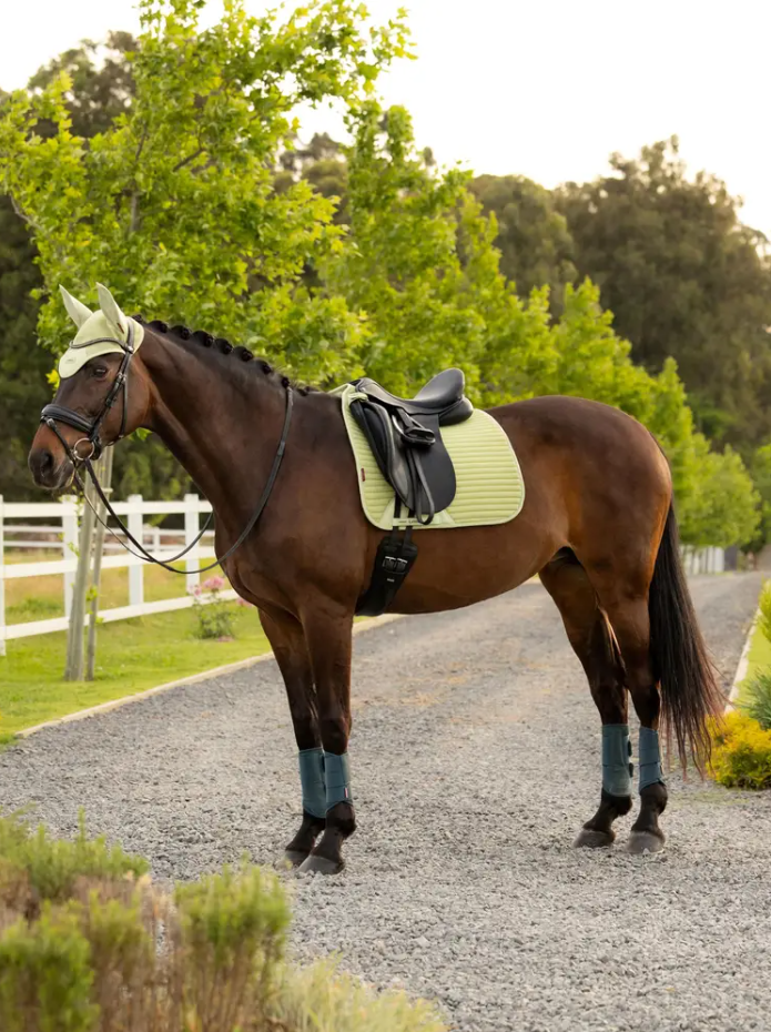 LeMieux Air-Tek Mesh Dressage Square-Unclassified-LeMieux-Macaron-Small/Medium-Manhattan Saddlery