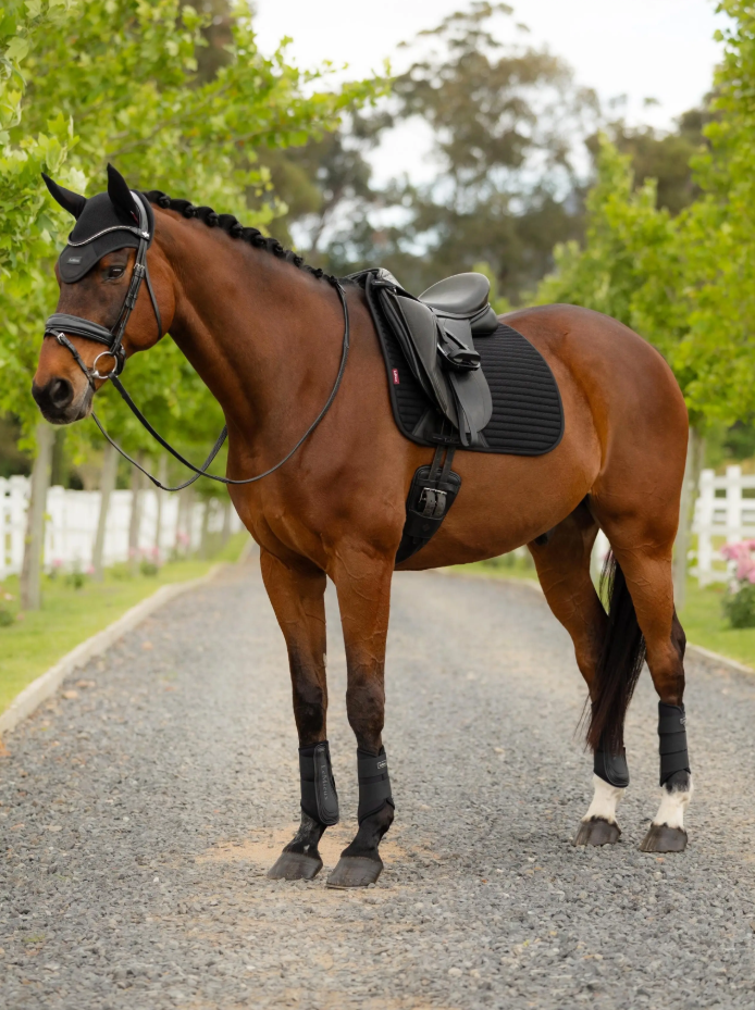 LeMieux Air-Tek Mesh Dressage Square-Unclassified-LeMieux-Black-Small/Medium-Manhattan Saddlery