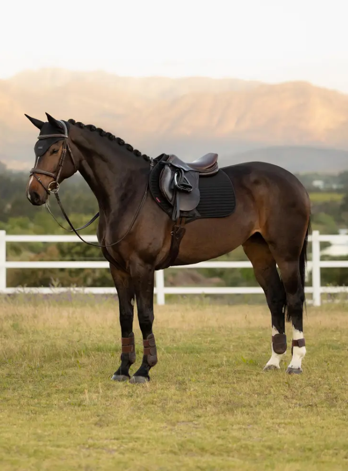 LeMieux Air-Tek Mesh Close Contact Square-Unclassified-LeMieux-Black-Small/Medium-Manhattan Saddlery