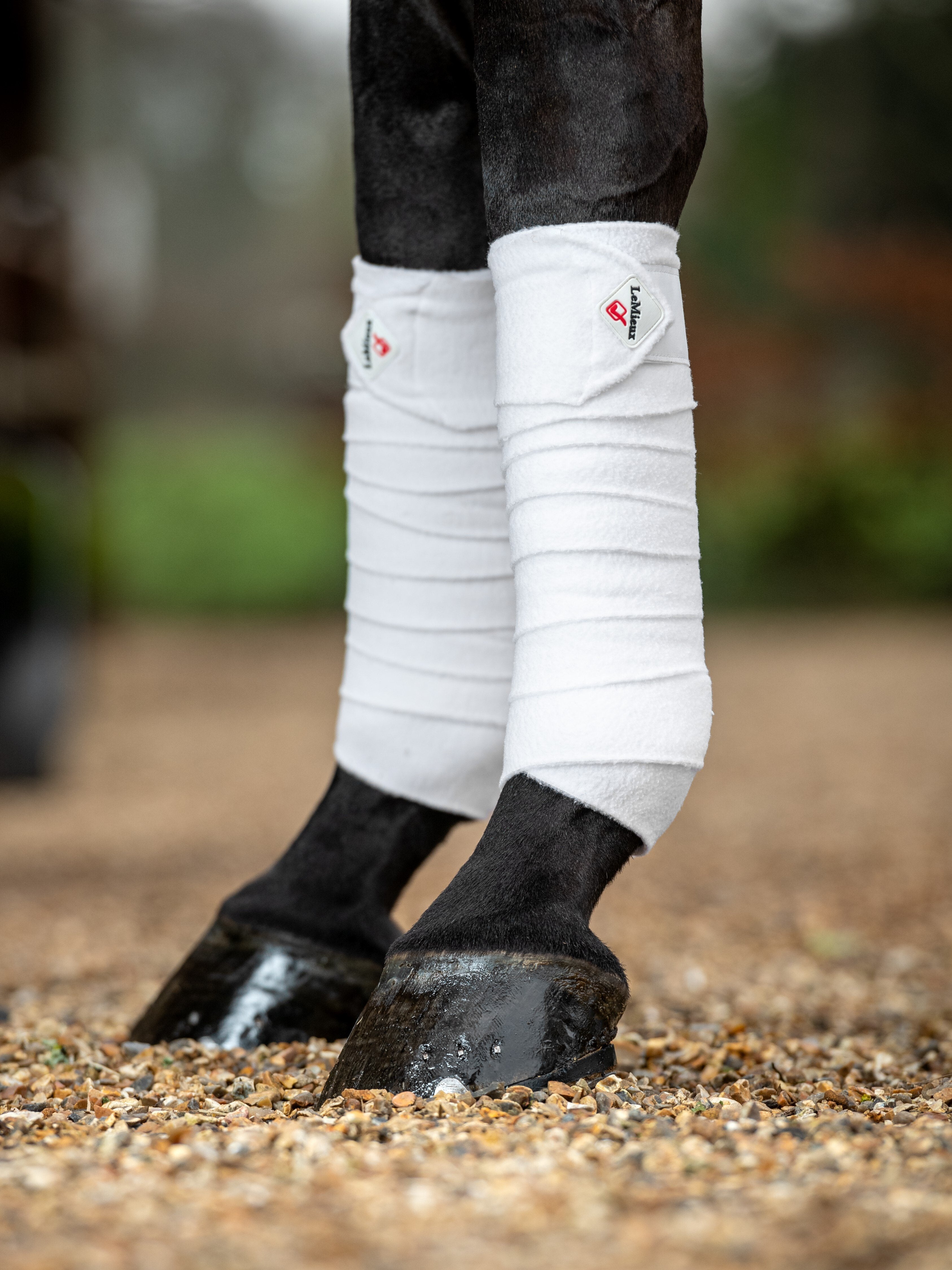 LeMieux Classic Polo Bandages-Polo Wraps-LeMieux-Apricot-Full-Manhattan Saddlery