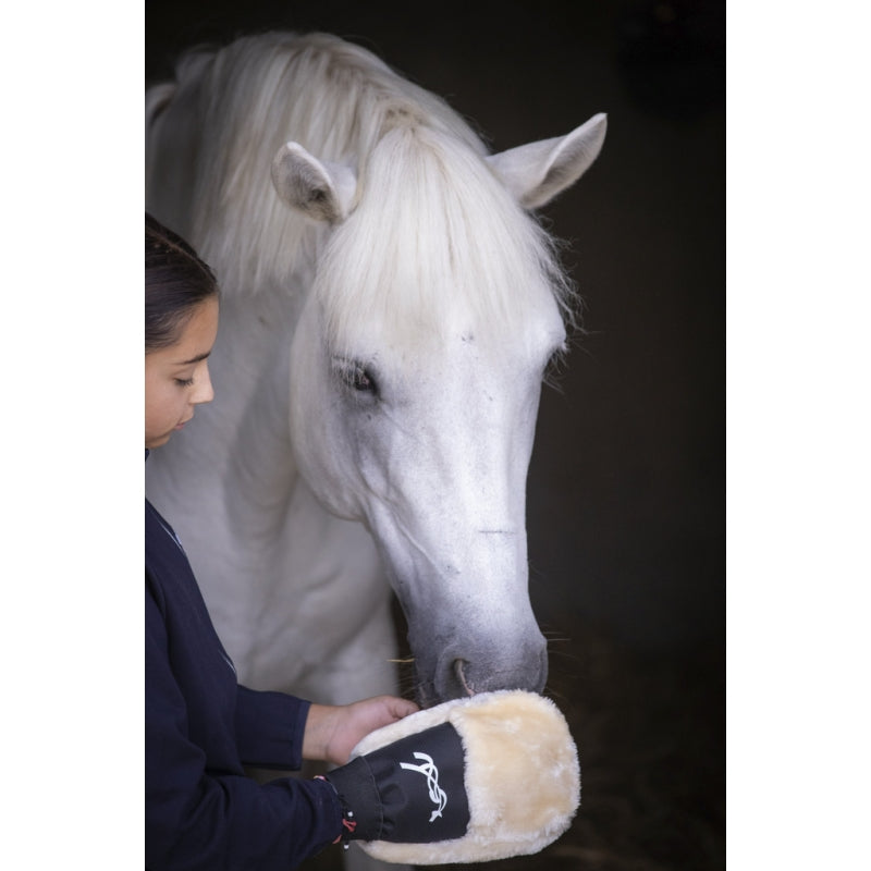 Penelope Grooming Glove-Staple Supplies - Grooming-Pénélope-Beige-Manhattan Saddlery