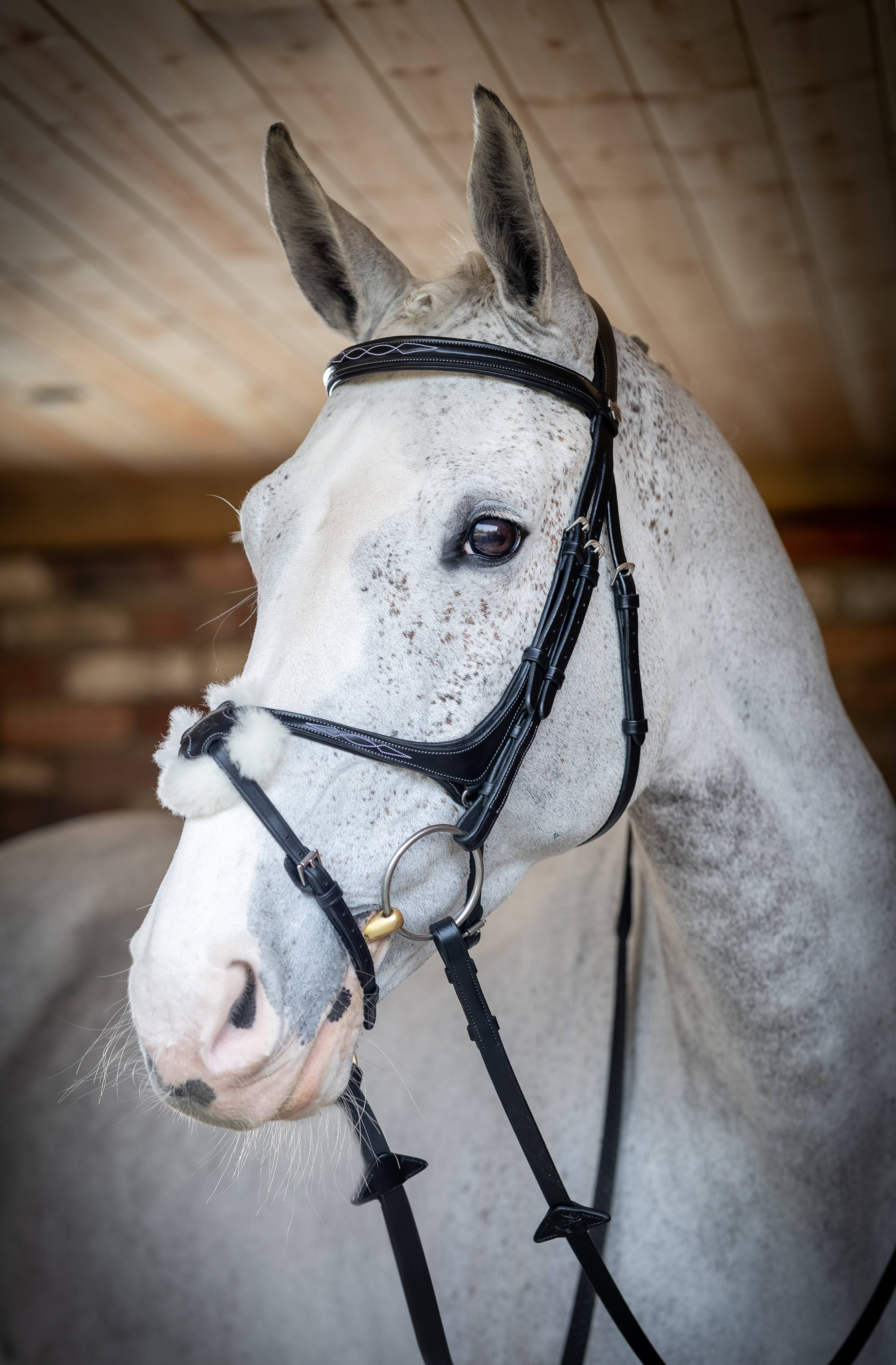 LeMieux Kudos Grackle Bridle-Horse Bridles-LeMieux-Havana-Pony-Manhattan Saddlery