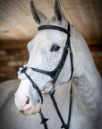 LeMieux Kudos Grackle Bridle-Horse Bridles-LeMieux-Havana-Pony-Manhattan Saddlery