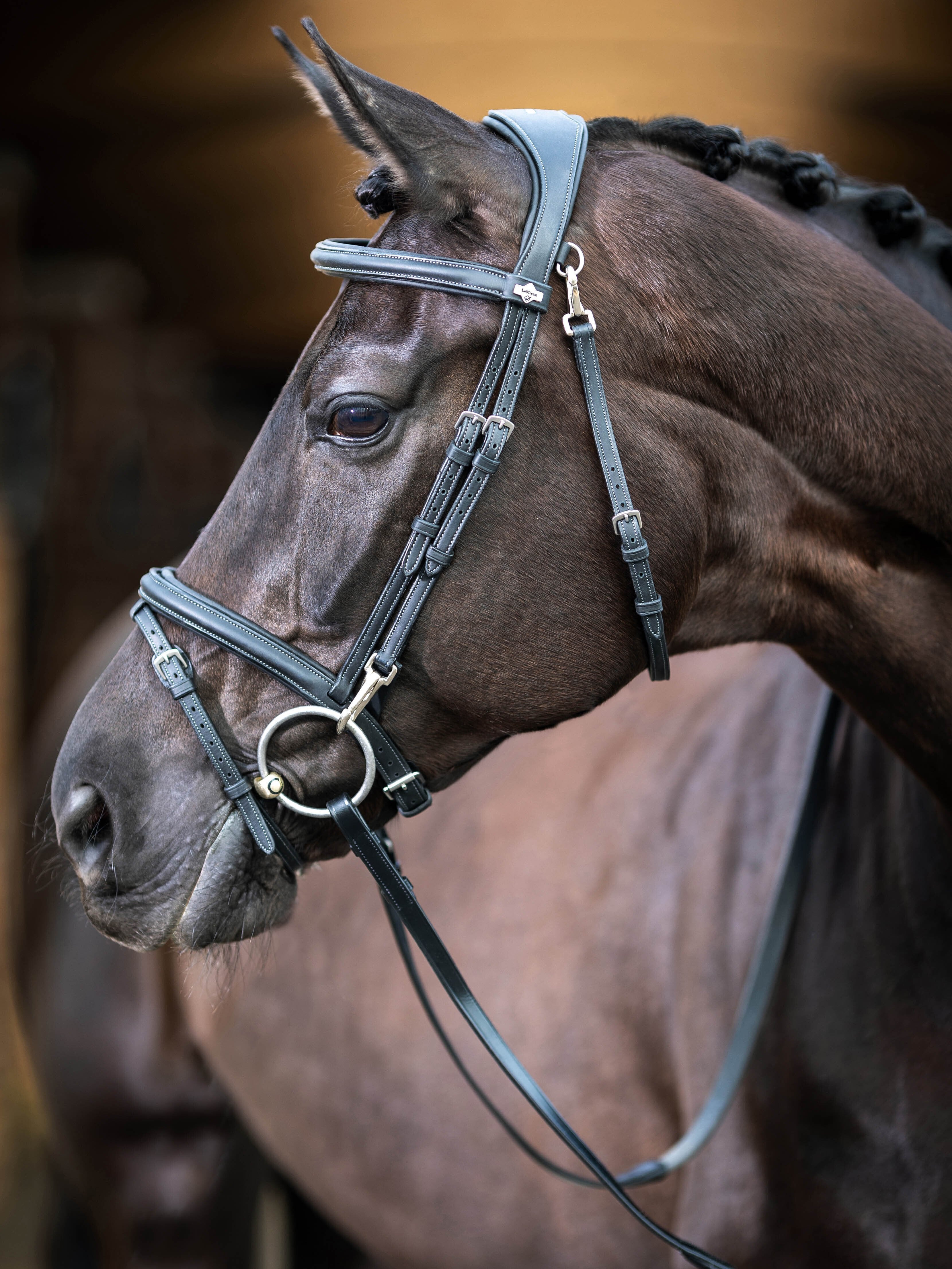 LeMieux Kudos Work Bridle-Horse Bridles-LeMieux-Black-Pony-Manhattan Saddlery