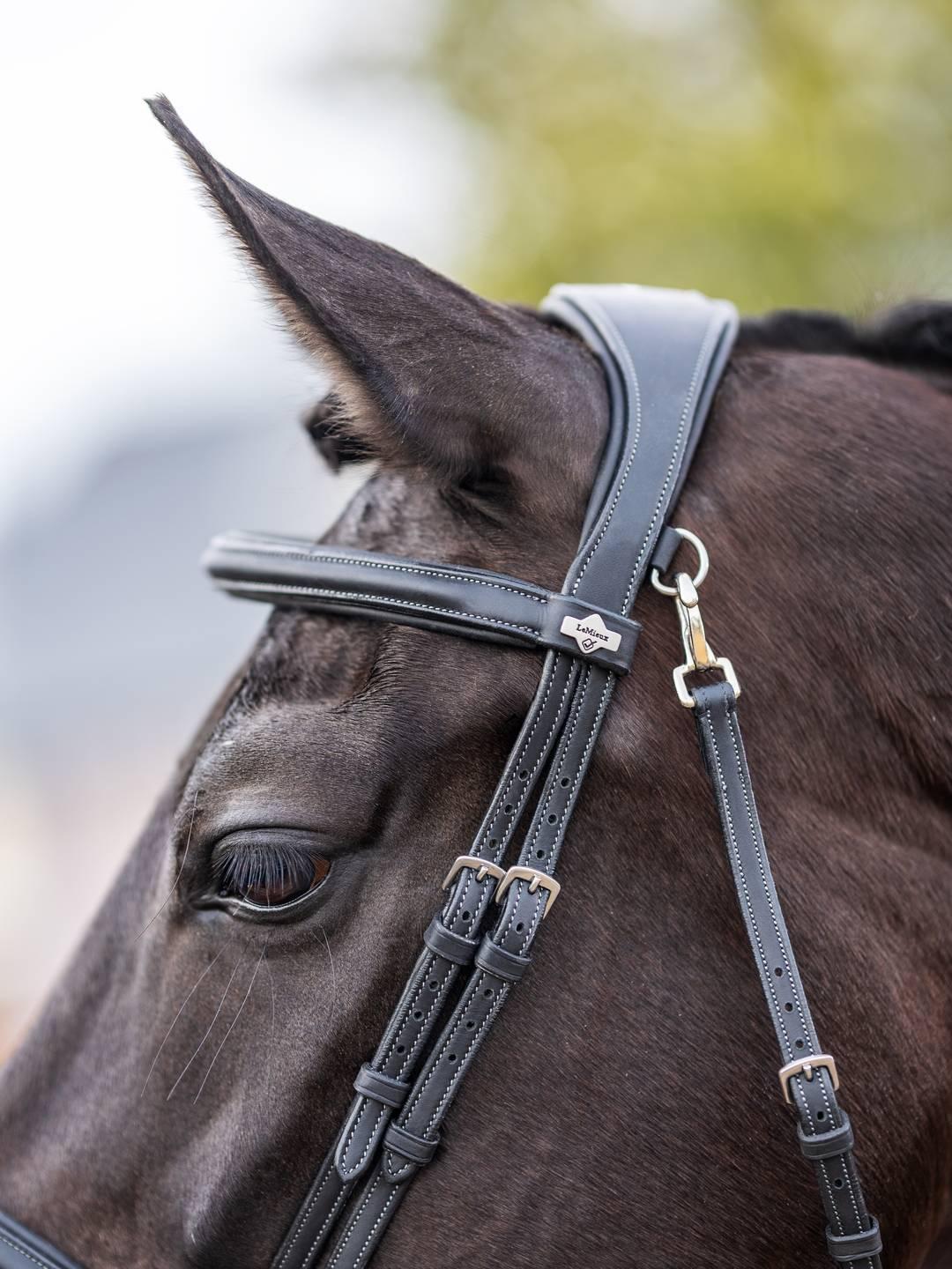LeMieux Kudos Work Bridle-Horse Bridles-LeMieux-Black-Pony-Manhattan Saddlery