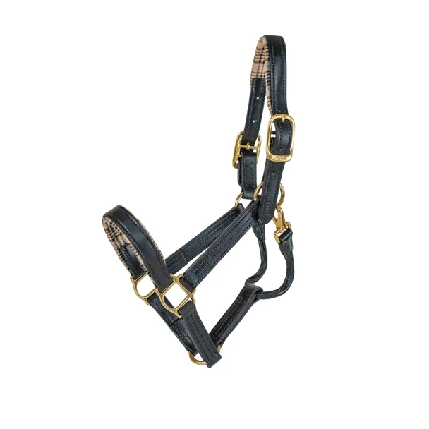 5/A Baker Dressage Leather Halter-Halters - Leather-5/A Baker-Cob-Manhattan Saddlery