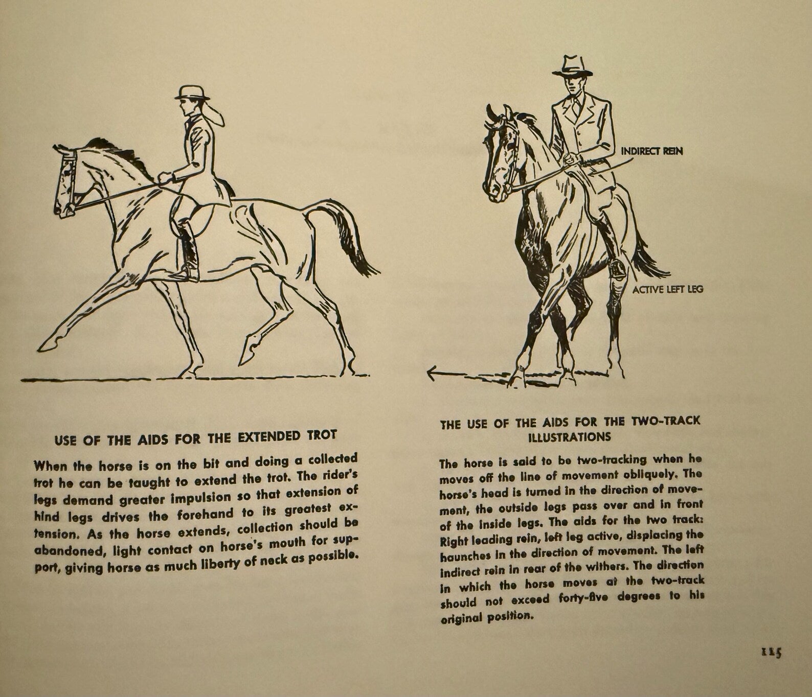 Learning to Ride Hunt & Show, by Gordon Wright-Gifts - Books-Manhattan Saddlery-Manhattan Saddlery