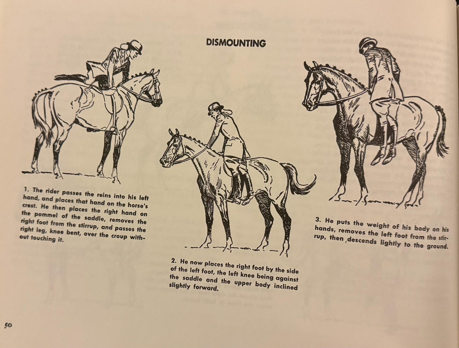 Learning to Ride Hunt & Show, by Gordon Wright-Gifts - Books-Manhattan Saddlery-Manhattan Saddlery