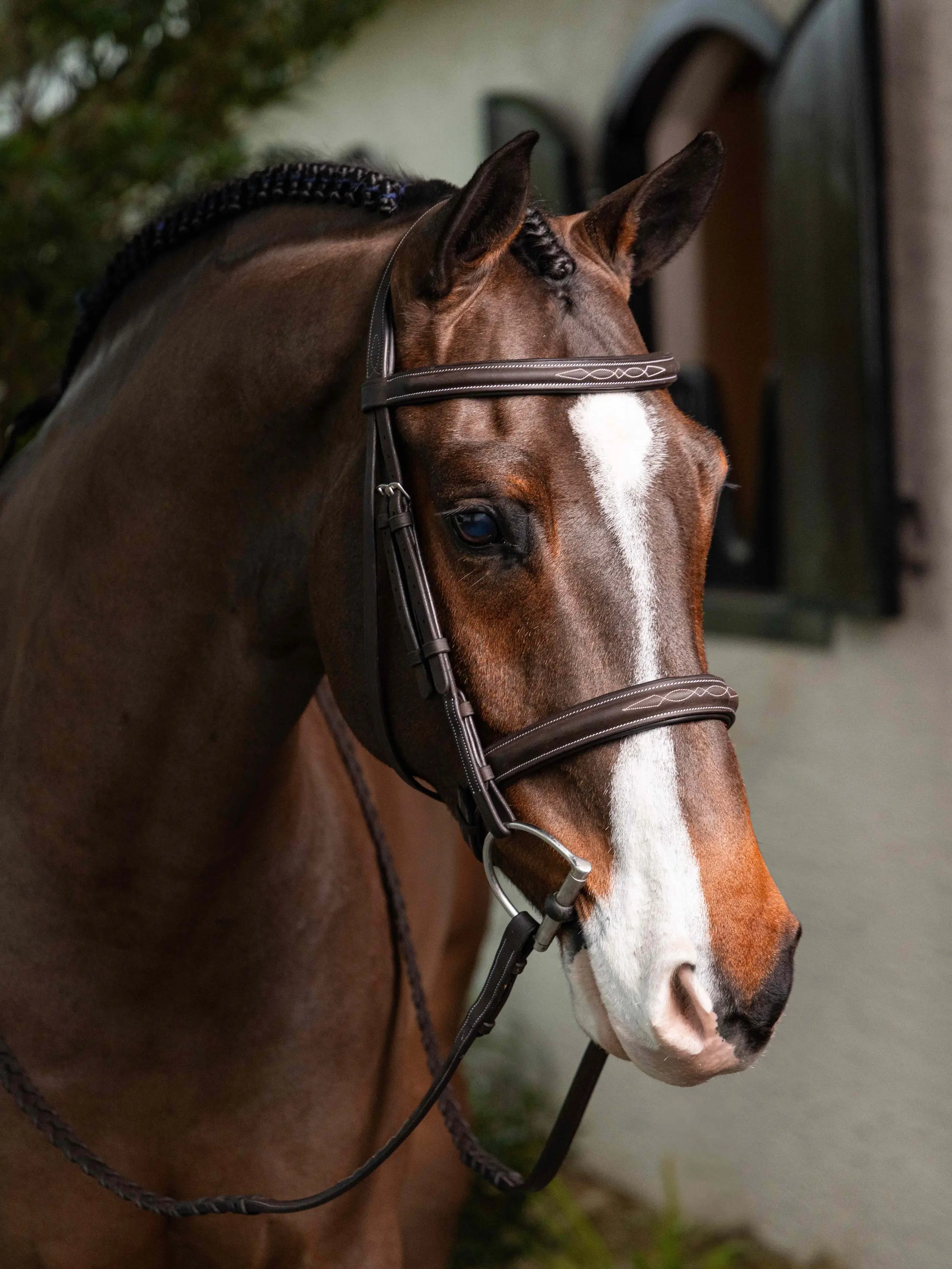 LeMieux Stitched Hunter Bridle with Laced Reins-Bridles - HunterJumper Bridles-LeMieux-Havana/Silver-Pony-Manhattan Saddlery