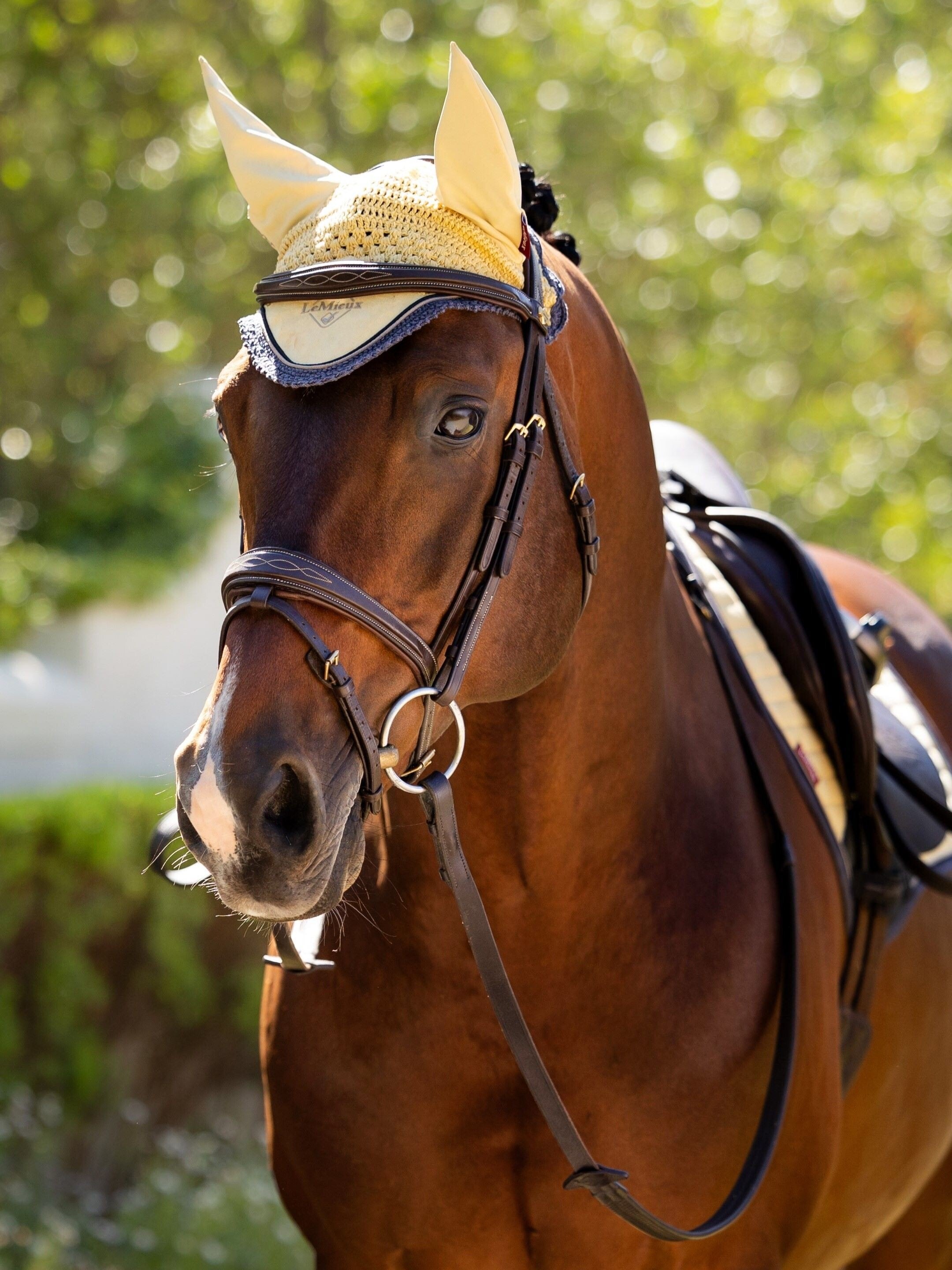 LeMieux Classic Ear Bonnet-Fly Bonnet-LeMieux-Jay Blue-Medium-Manhattan Saddlery