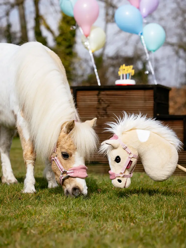 LeMieux Hobby Horse Lemon-Gifts - Toys-LeMieux-Lemon-Manhattan Saddlery