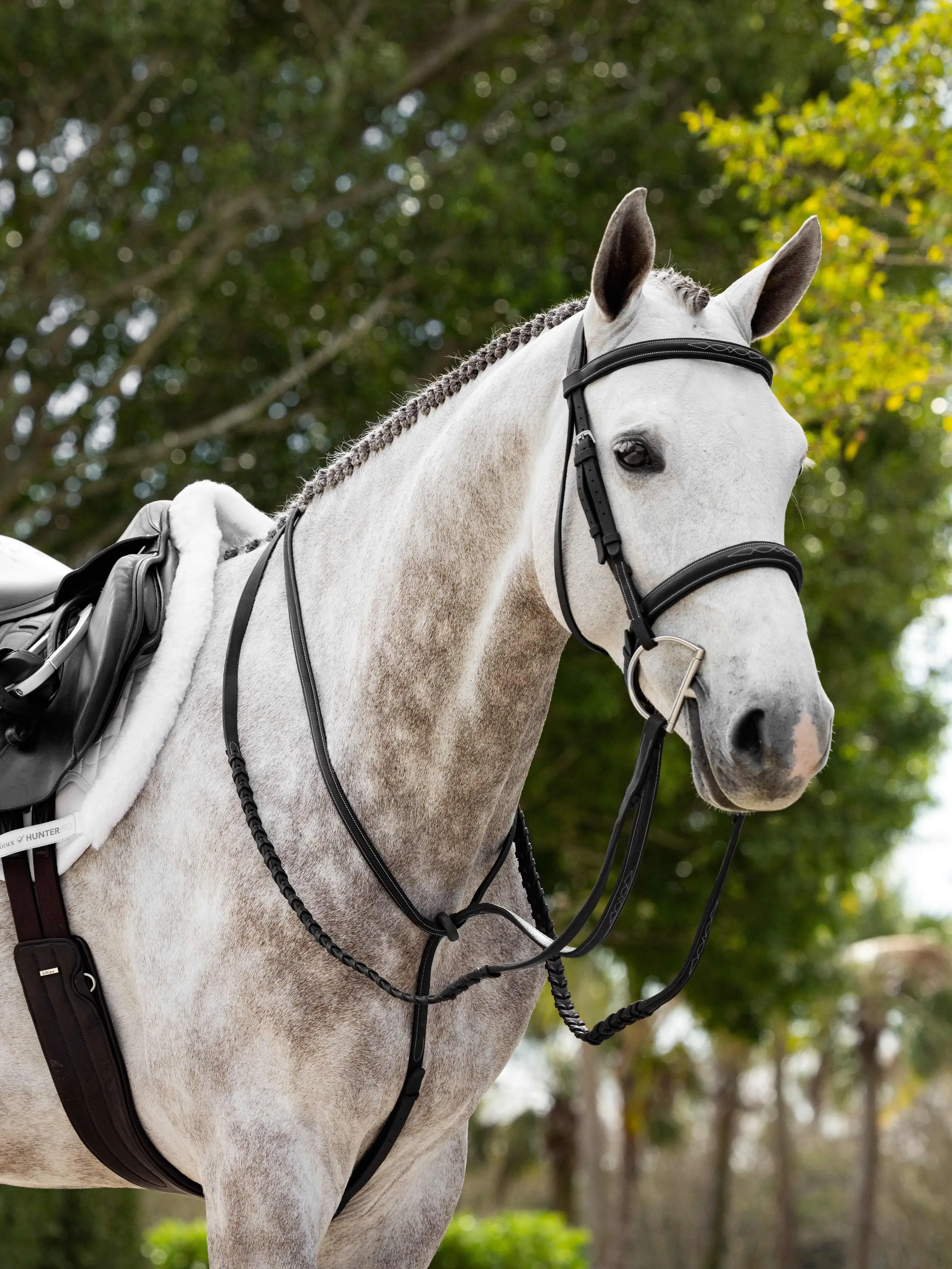 LeMieux Hunter Standing Martingale-Martingales & Breastplates - Standing Martingale-LeMieux-Black/Silver-Pony-Manhattan Saddlery