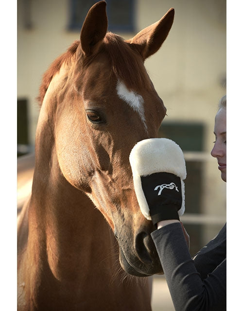 Penelope Grooming Glove-Unclassified-Pénélope-Manhattan Saddlery