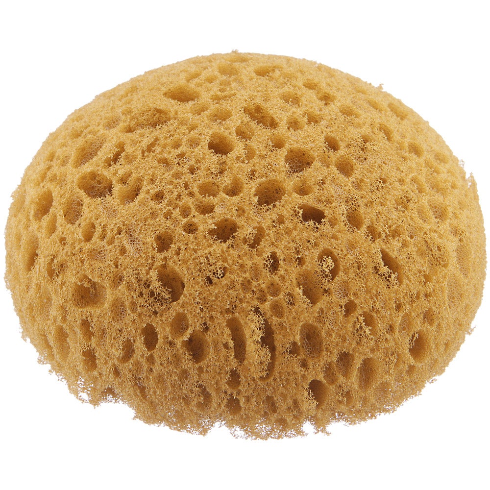 Hydra Honeycomb Tack Sponge-Staple Supplies - Grooming-RJ Matthews-Manhattan Saddlery