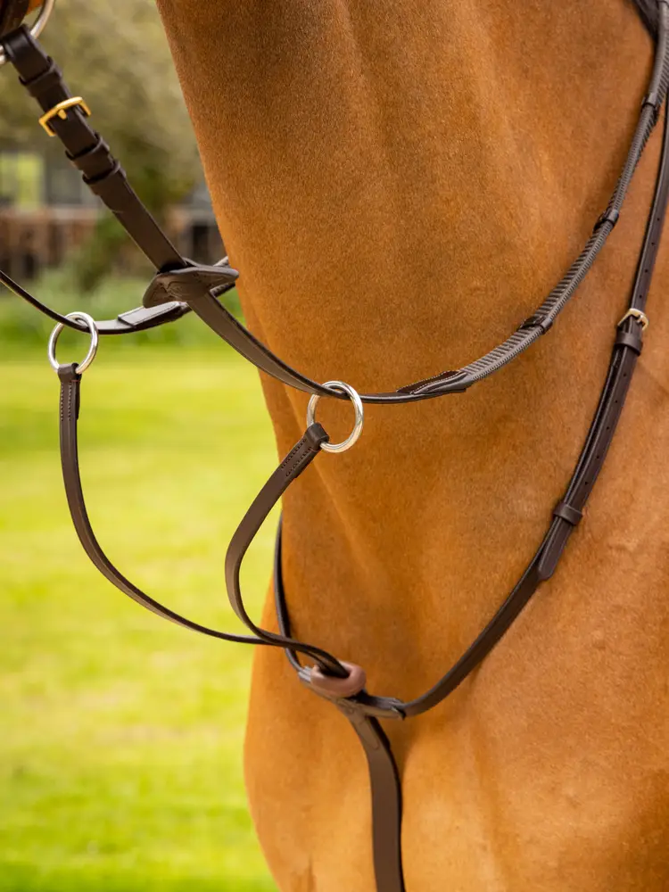 Arika Running Martingale-Unclassified-LeMieux-Black-Pony-Manhattan Saddlery