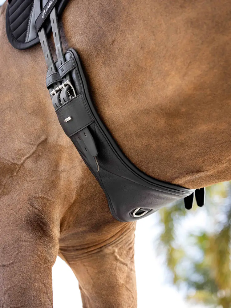 LeMieux Arika Contoured Dressage Girth-Girths - Dressage-LeMieux-Black-22"-Manhattan Saddlery