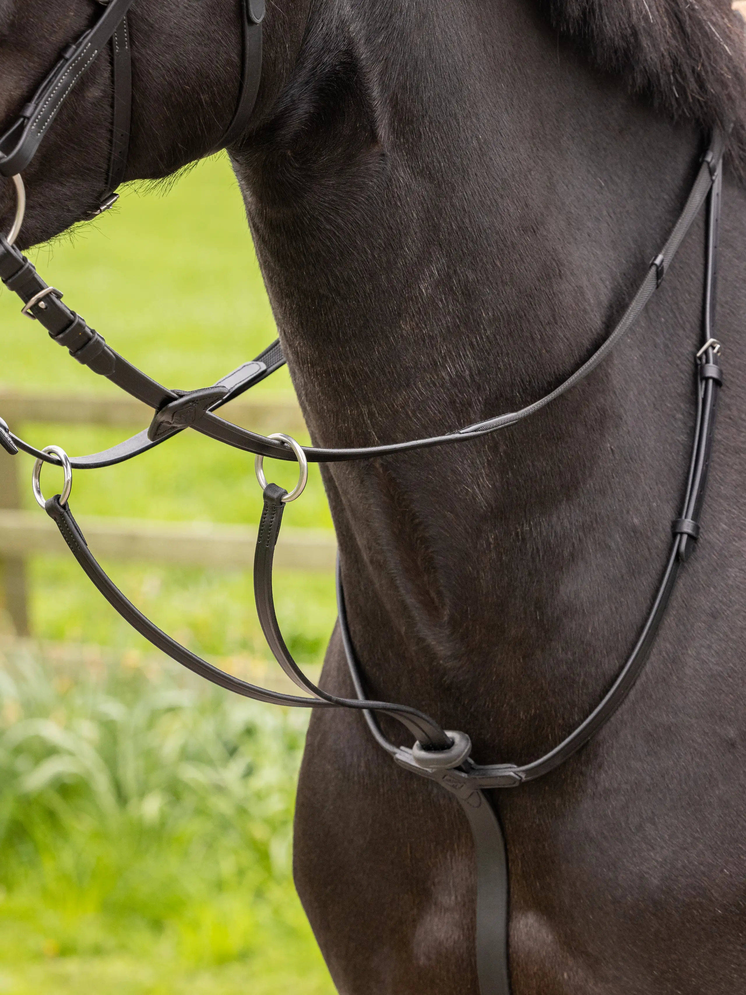 Arika Running Martingale-Unclassified-LeMieux-Black-Pony-Manhattan Saddlery